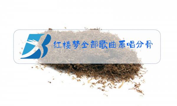 红楼梦全部歌曲原唱分骨肉图片