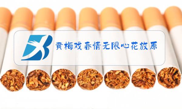 黄梅戏春情无限心花放原唱伴奏有男声图片