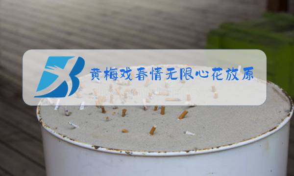 黄梅戏春情无限心花放原唱伴奏图片