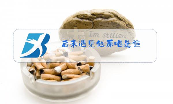 后来遇见他原唱是谁图片