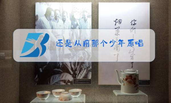 还是从前那个少年原唱图片