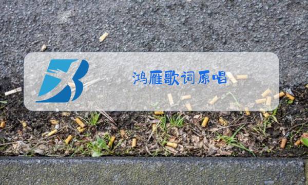 鸿雁歌词原唱图片