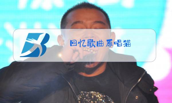 回忆歌曲原唱猫图片