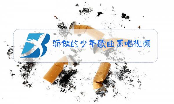 骄傲的少年歌曲原唱视频图片