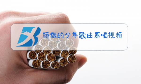 骄傲的少年歌曲原唱视频下载图片