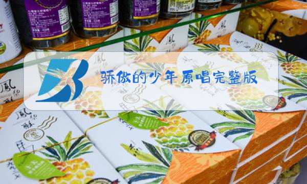 骄傲的少年原唱完整版图片
