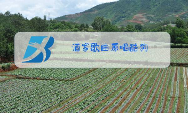 酒家歌曲原唱酷狗图片