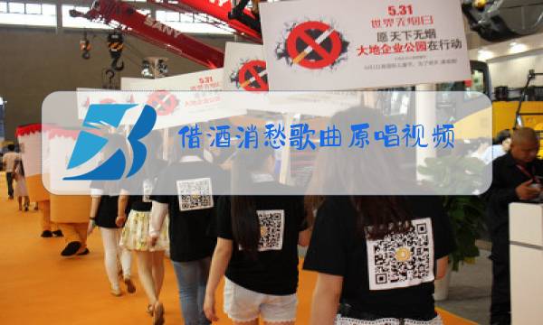 借酒消愁歌曲原唱视频图片