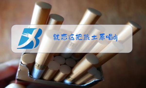 就恋这把热土原唱dj图片