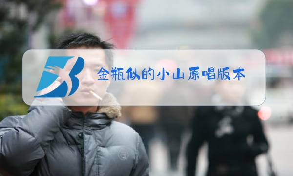 金瓶似的小山原唱版本图片