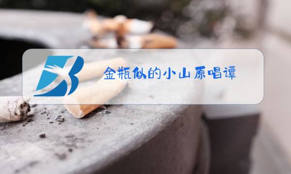 金瓶似的小山原唱谭图片