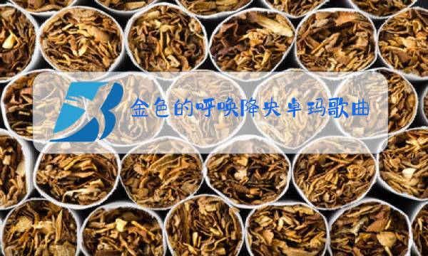 金色的呼唤降央卓玛歌曲原唱图片