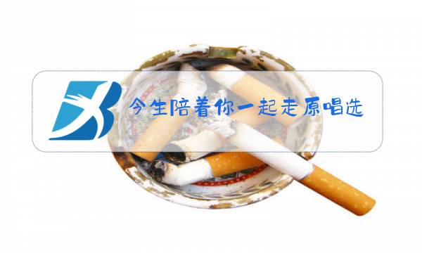 今生陪着你一起走原唱选字幕图片