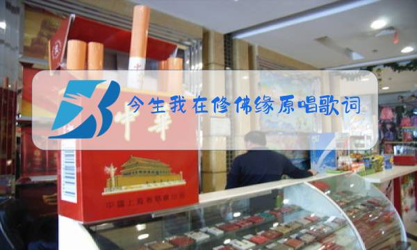 今生我在修佛缘原唱歌词视频图片
