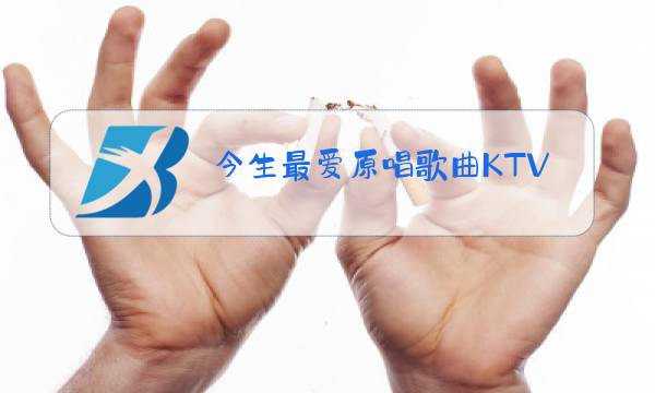 今生最爱原唱歌曲KTV图片
