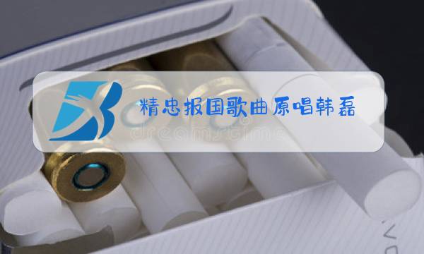 精忠报国歌曲原唱韩磊图片