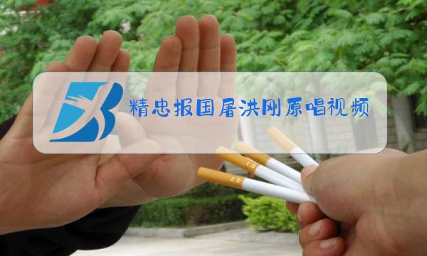 精忠报国屠洪刚原唱视频图片