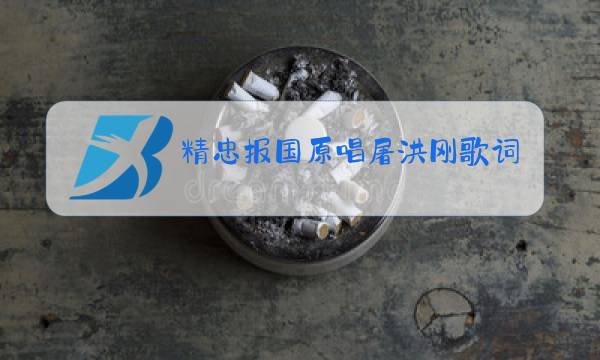 精忠报国原唱屠洪刚歌词图片