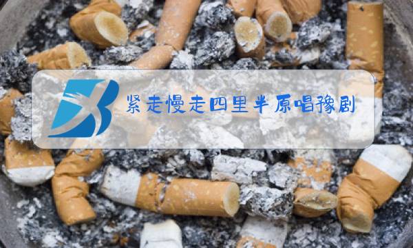 紧走慢走四里半原唱豫剧伴奏图片