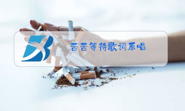 苦苦等待歌词原唱图片