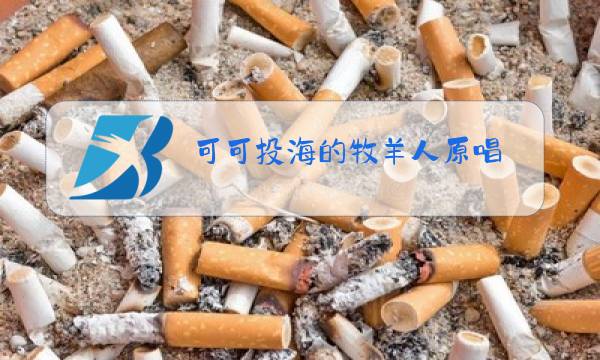 可可投海的牧羊人原唱图片