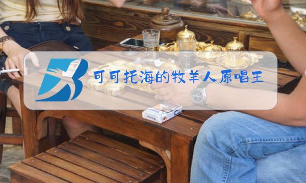 可可托海的牧羊人原唱王琪现场版图片