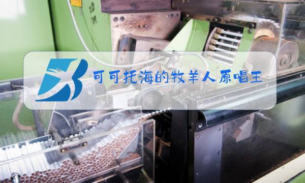 可可托海的牧羊人原唱王琪简介背景故事图片