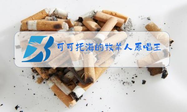 可可托海的牧羊人原唱王琪mp3图片