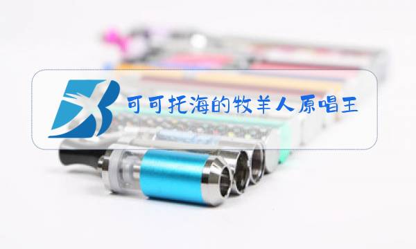 可可托海的牧羊人原唱王琪个人简历图片