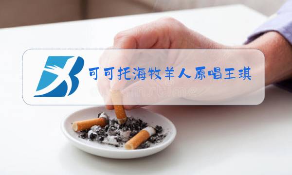可可托海牧羊人原唱王琪图片