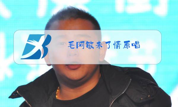毛阿敏未了情原唱图片