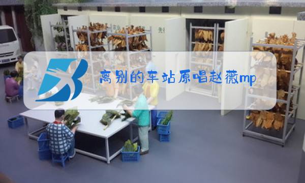 离别的车站原唱赵薇mp3图片