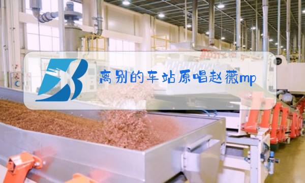 离别的车站原唱赵薇mp3下载图片