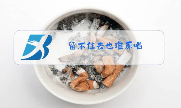 留不住去也难原唱图片