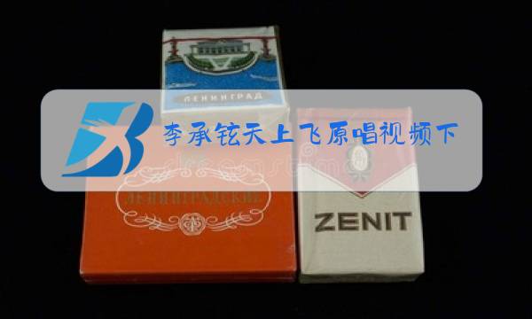 李承铉天上飞原唱视频下载图片