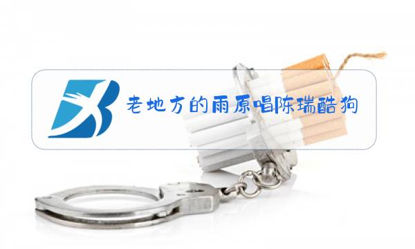 老地方的雨原唱陈瑞酷狗图片