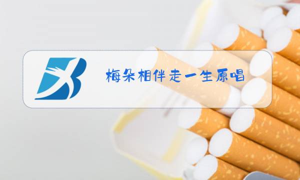 梅朵相伴走一生原唱图片