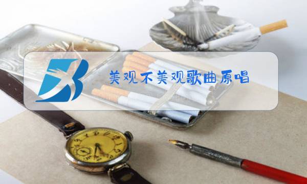 美观不美观歌曲原唱图片
