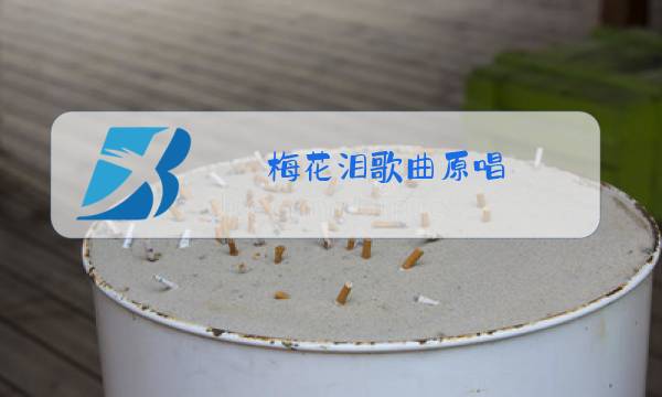 梅花泪歌曲原唱图片