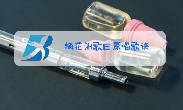 梅花泪歌曲原唱歌谱图片