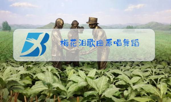 梅花泪歌曲原唱舞蹈图片