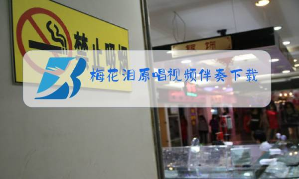梅花泪原唱视频伴奏下载图片