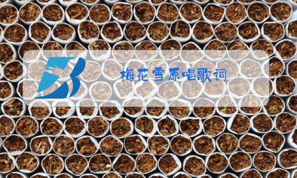 梅花雪原唱歌词图片