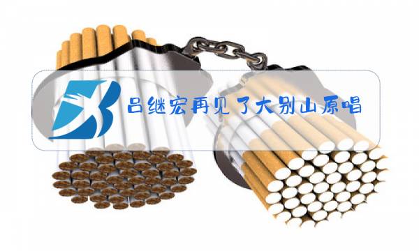 吕继宏再见了大别山原唱歌词图片