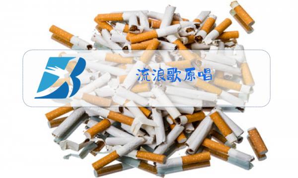 流浪歌原唱图片