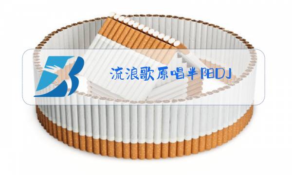 流浪歌原唱半阳DJ图片