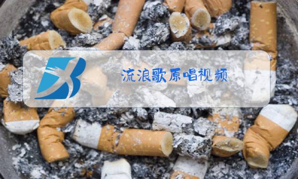 流浪歌原唱视频图片