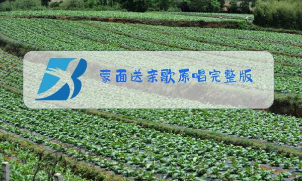 蒙面送亲歌原唱完整版图片