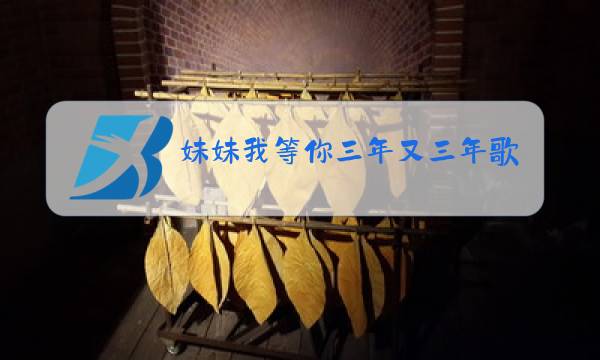 妹妹我等你三年又三年歌曲原唱图片