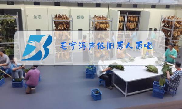 毛宁涛声依旧原人原唱图片